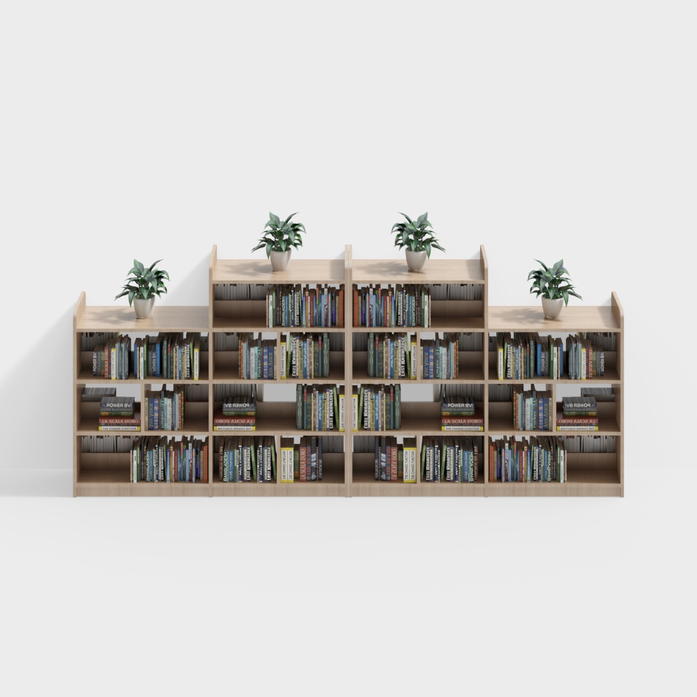 Library wooden bookshelf