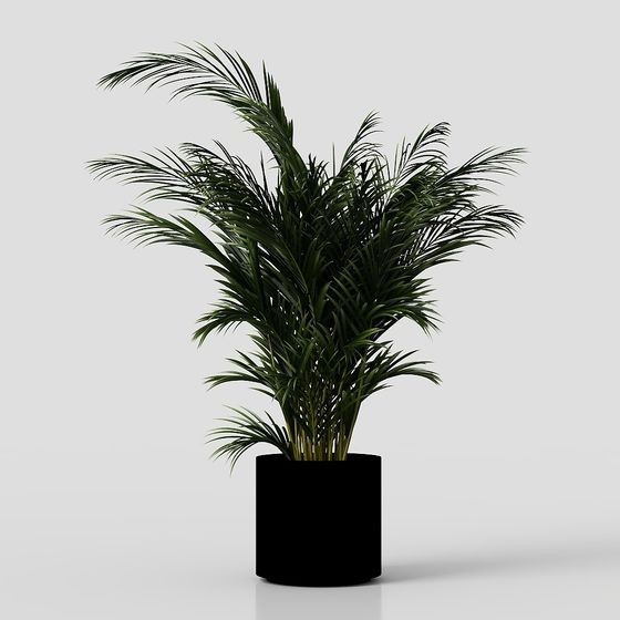 Low Poly Indoor Plant 3D Model