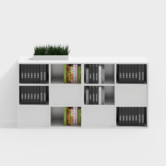 Modern Minimalist Bookshelf 3D model