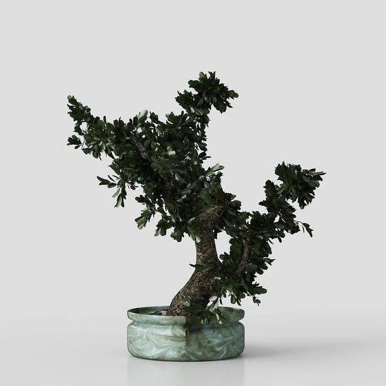 Intricate Low-Poly Bonsai Tree 3D model for Creative Projects