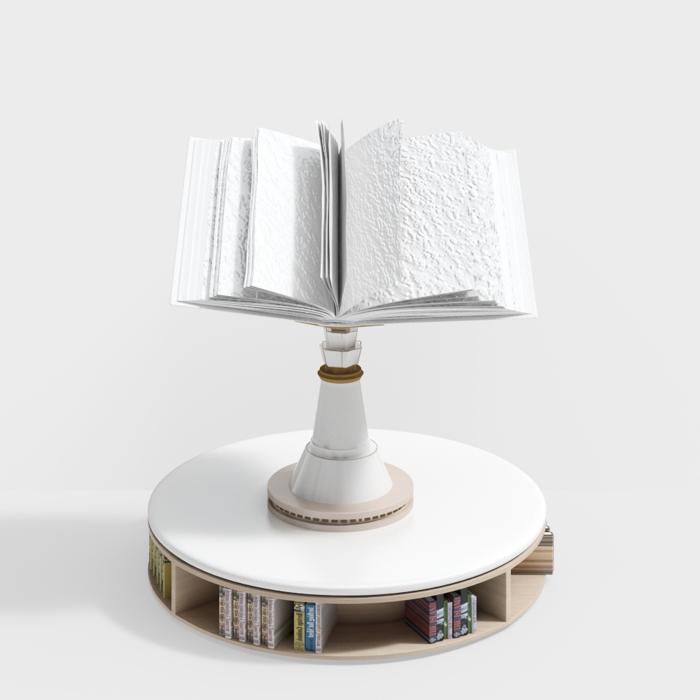 library display rack