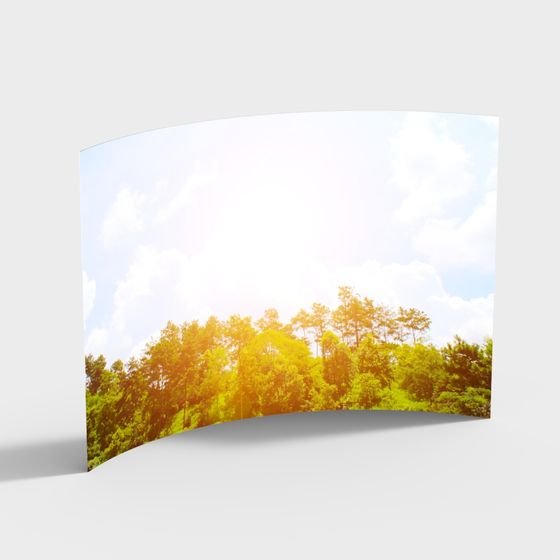 Dawn Forest 3D model for Creative Projects