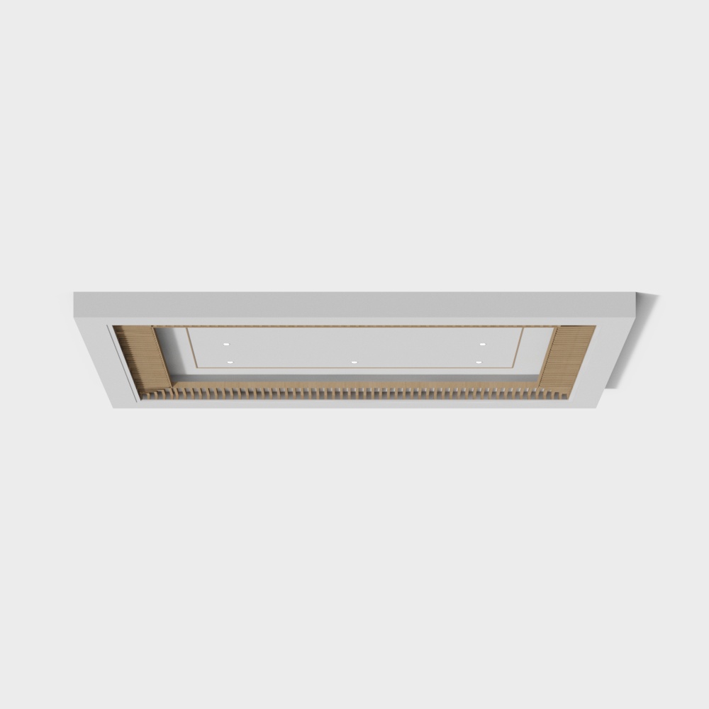 Elegant Minimalist Ceiling 3D model