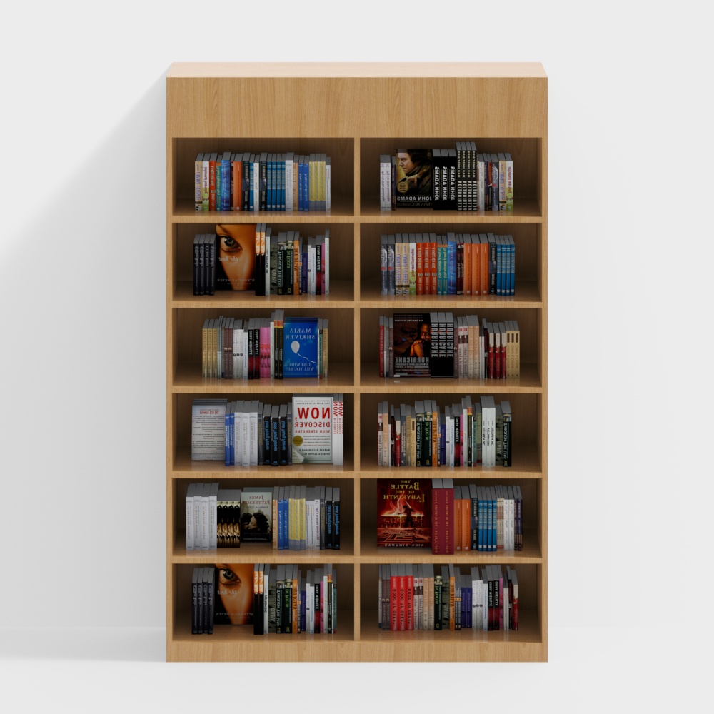 二列のハイ書棚