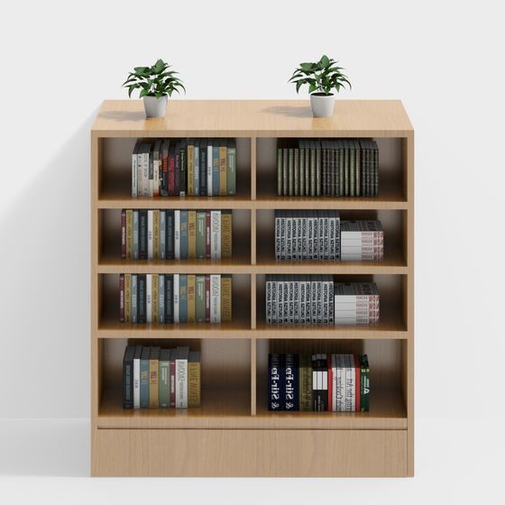 Charming Light Wood Bookshelf 3D model for Modern Spaces