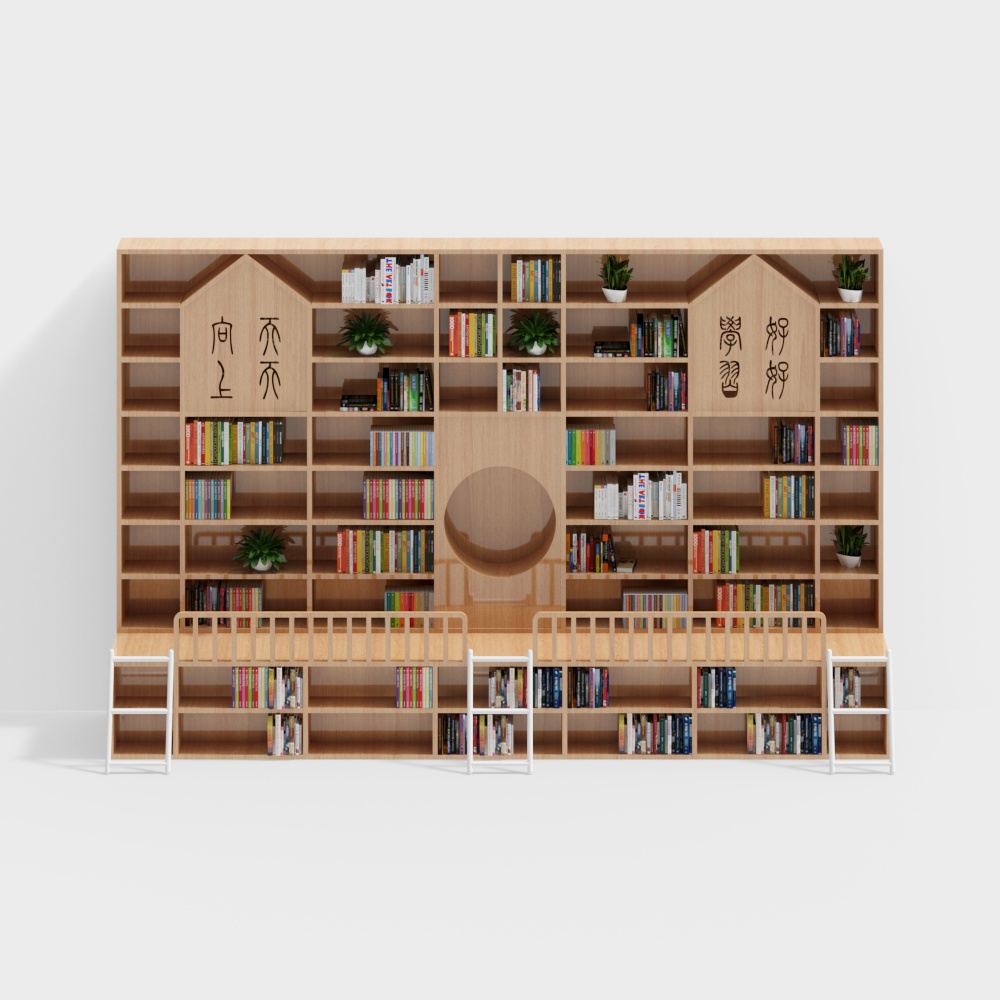 Large bookcase with ladder