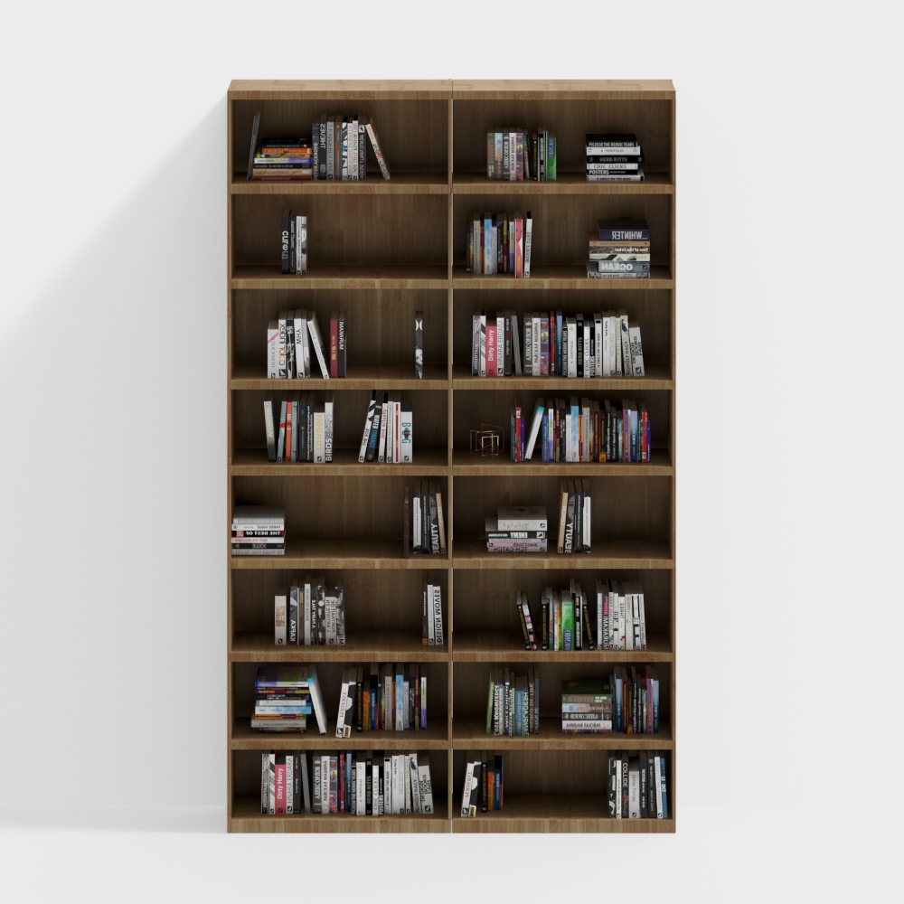 Library double row high bookcases