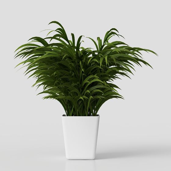 Stunning Indoor Green Plant 3D model for Creative Spaces