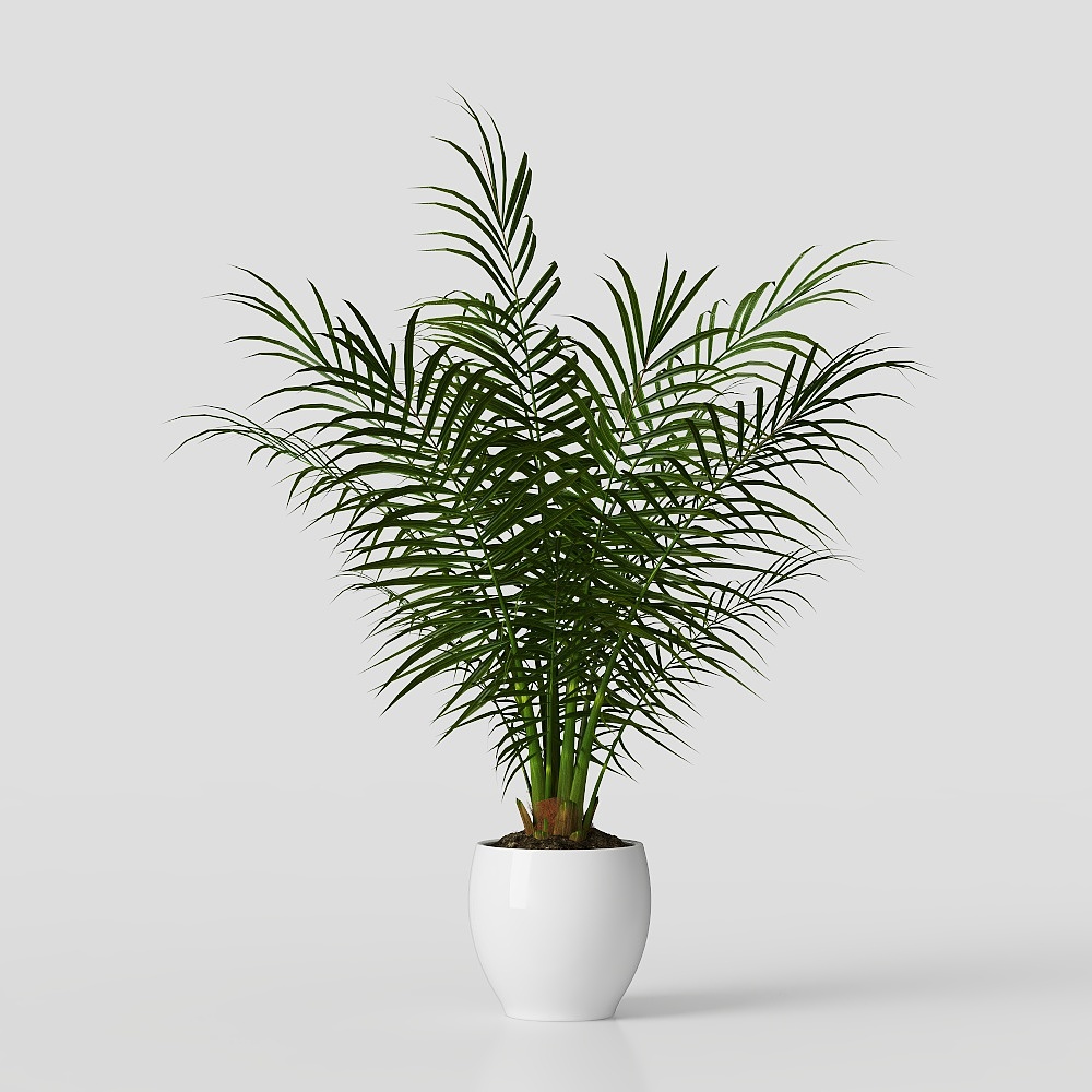 Fern decorative flower pot