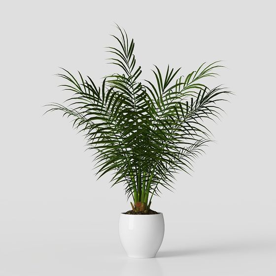 Low Poly Indoor Plant 3D model