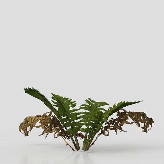 Fern Cluster Low-Polygon 3D Model
