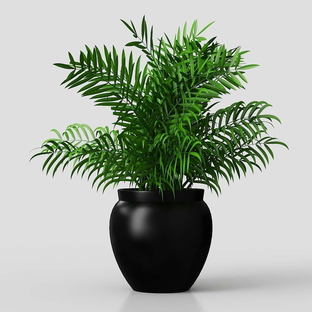 Fern decorative flower pot