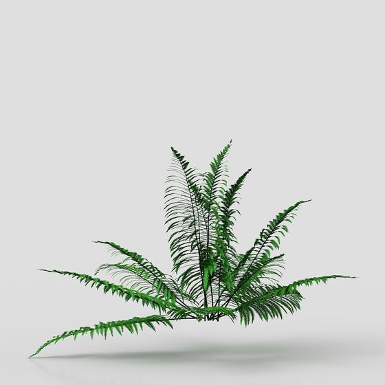Fern Forest 3D model for Lush Environments