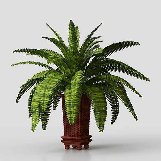 Vintage Wicker Planter Fern 3D model for Creative Spaces