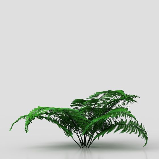 Fern Forest Low-Poly 3D Model