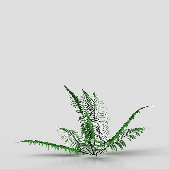 Fern Whisperer Low-Poly 3D Model
