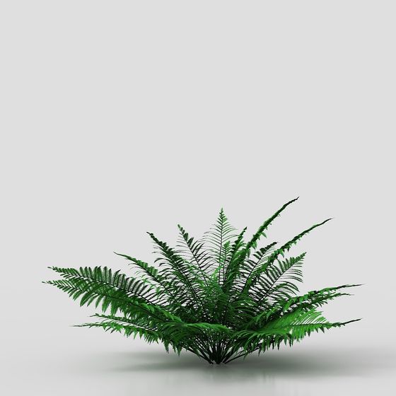 Fern Bush Low-Poly 3D Model