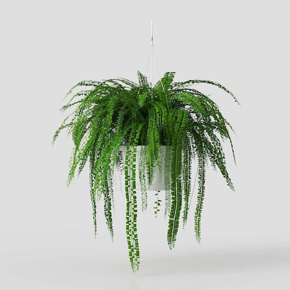 Fern decorative flower pot