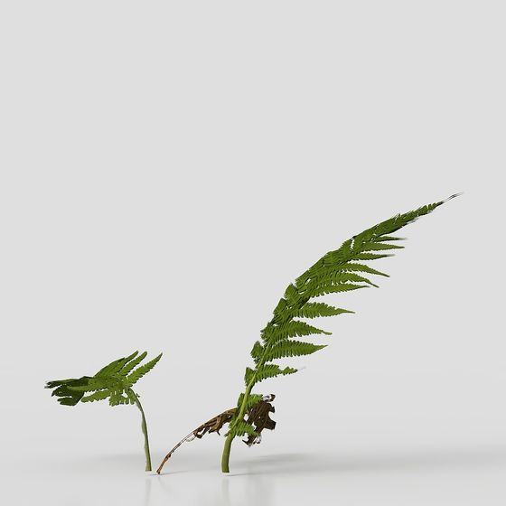 Forest Spirit 3D model