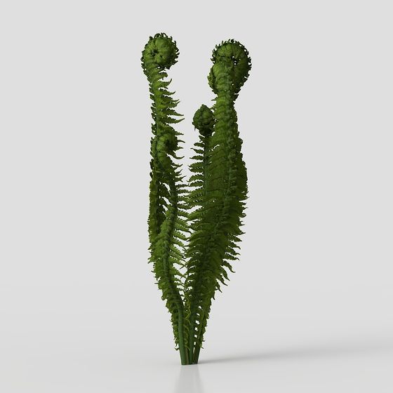 Vibrant Fern 3D model for Nature Lovers