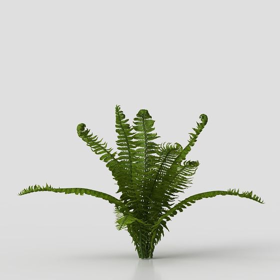 Realistic Fern 3D Model for Natural Scenes