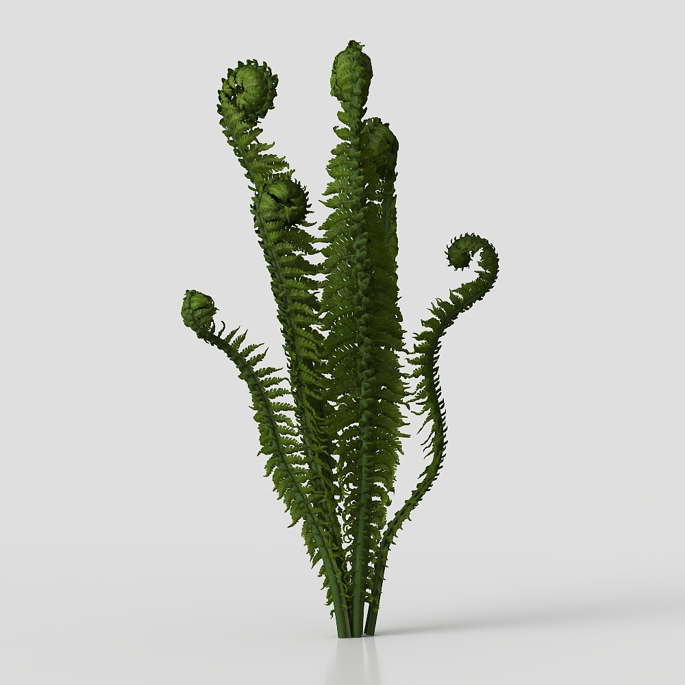 Vibrant Low-Poly Fern 3D Model