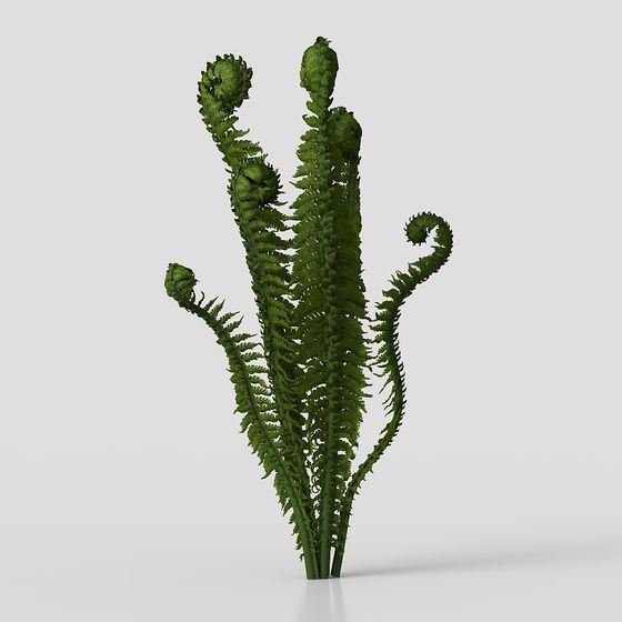 Vibrant Low-Poly Fern 3D Model