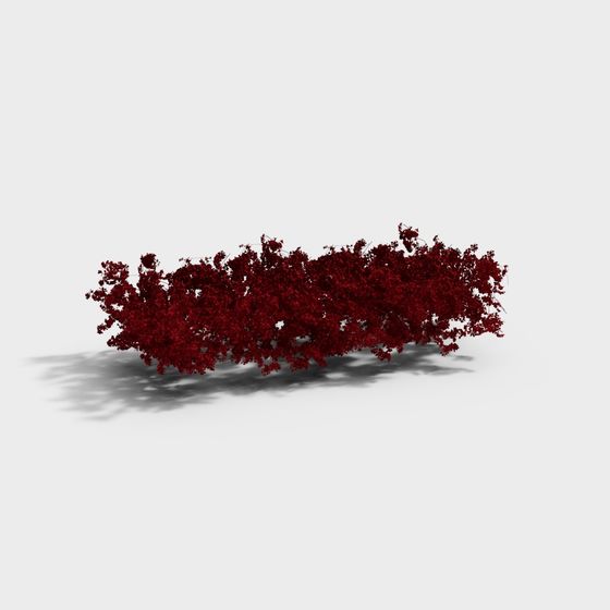 Stunning 3D Model of a Red Maple Tree