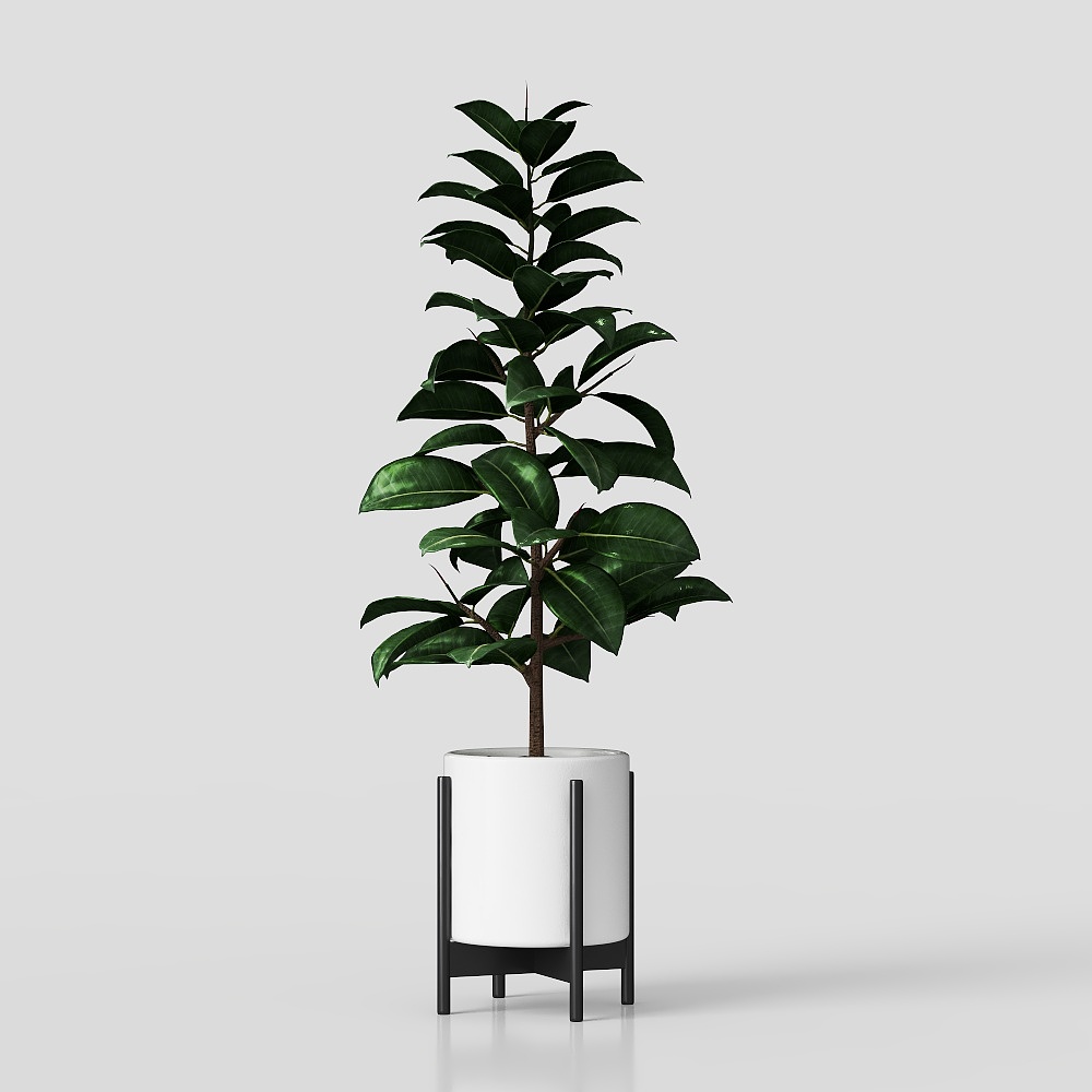 green plant potted plant