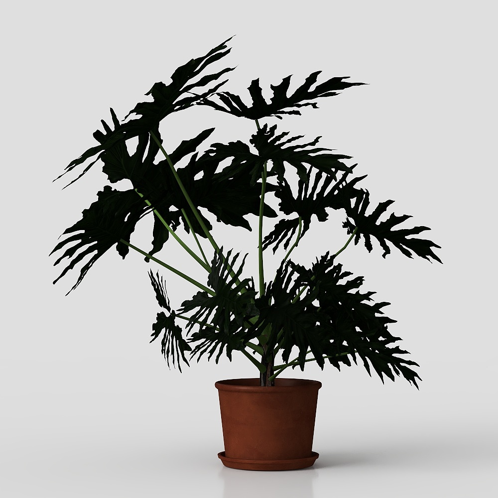 Living room potted plant ornaments