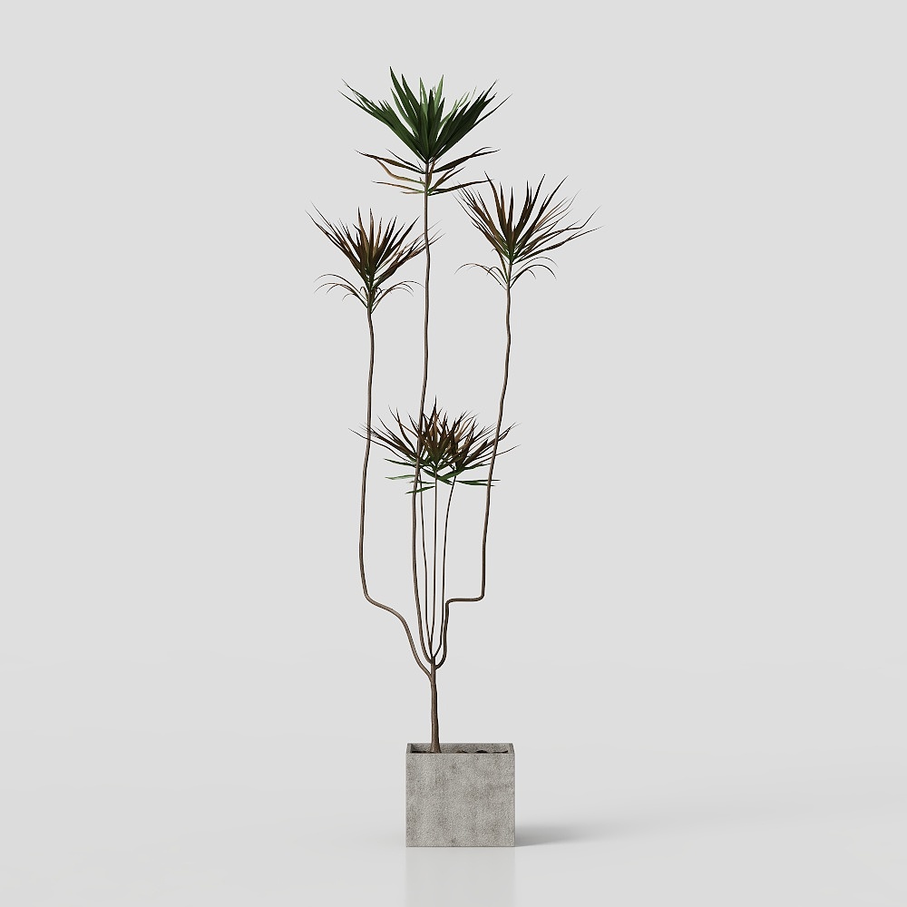 Living room potted plant ornaments