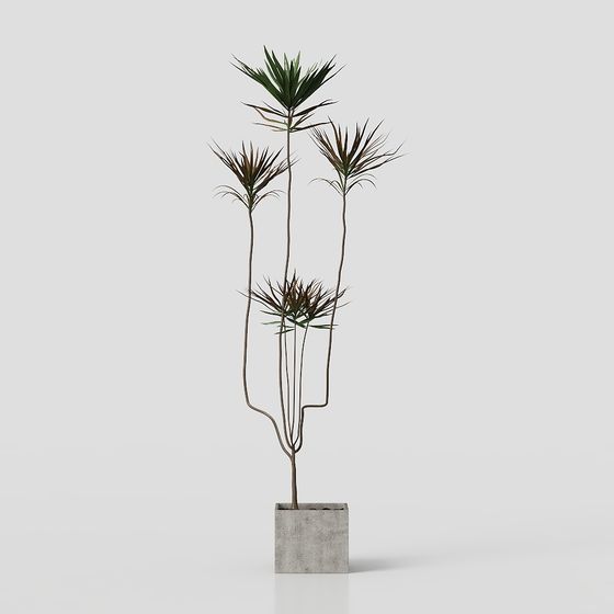 Urban Green Plant 3D model for Modern Design