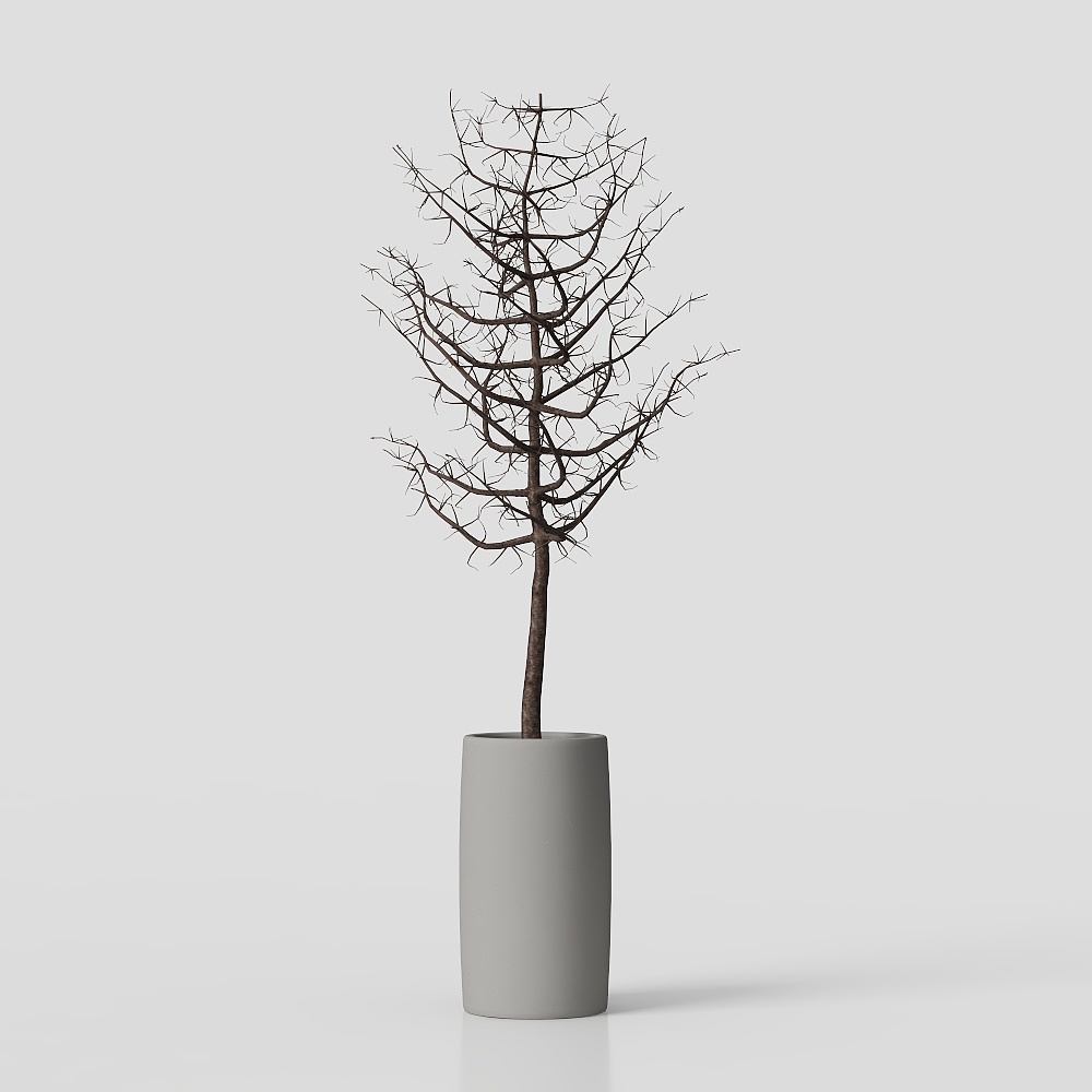 vườn chậu nhỏ