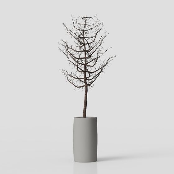 vườn chậu nhỏ