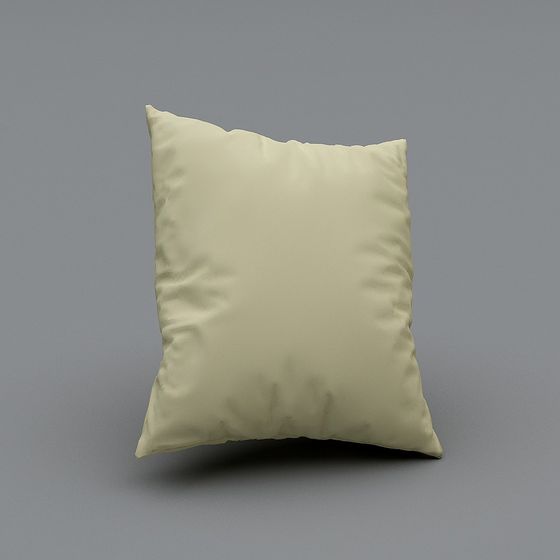 Oreiller en Tissu Contemporain