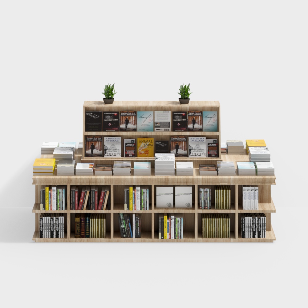 ชั้นวางหนังสือครึ่งแถวแบบสองทาง