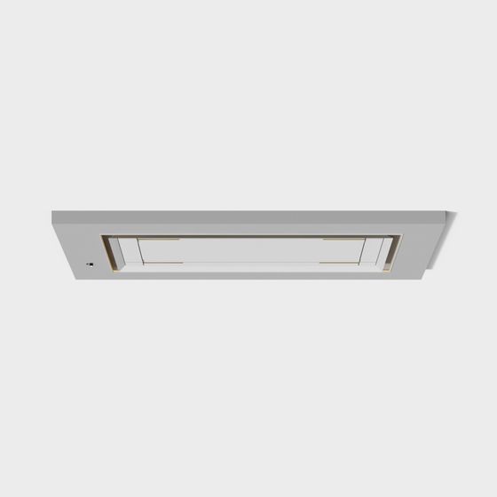 Urban Ceiling Light 3D model