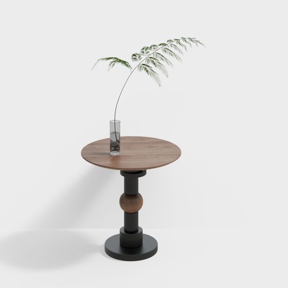 Stylish Round Table with Green Plant 3D model