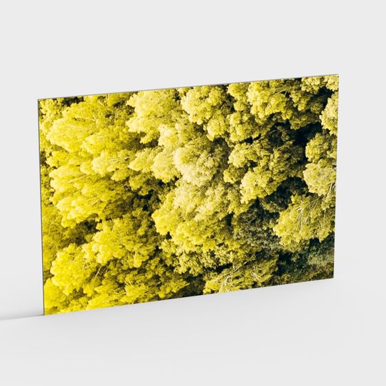 Lively Green Canopy 3D model for Creative Projects