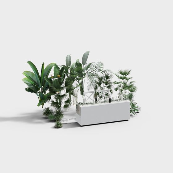 Tropical Green Plant Display Stand 3D model