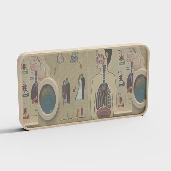 Anatomical Respiratory System 3D model