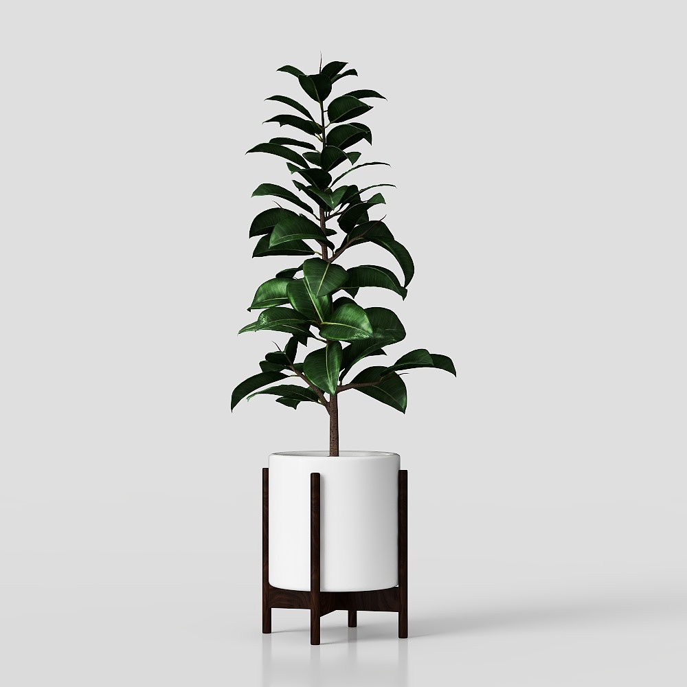 ต้นไม้สีเขียว