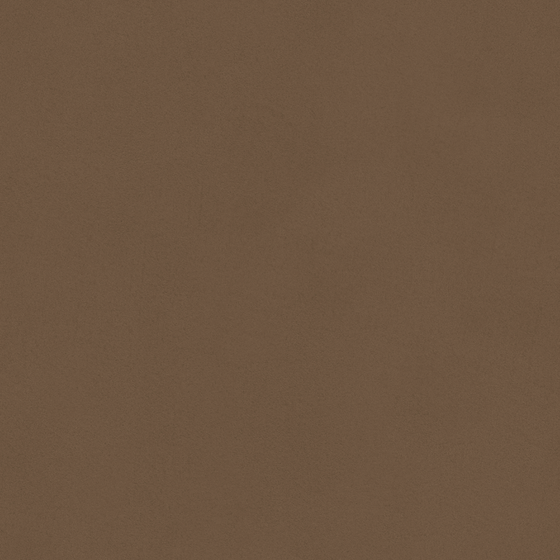 Elegant Brown Wall Paint 3D Model