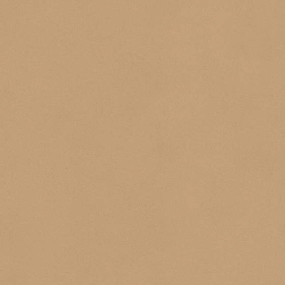 Trendy Brown Wall Paint 3D Model for Interiors