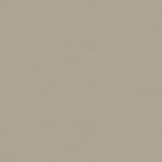 Wall paint/paint