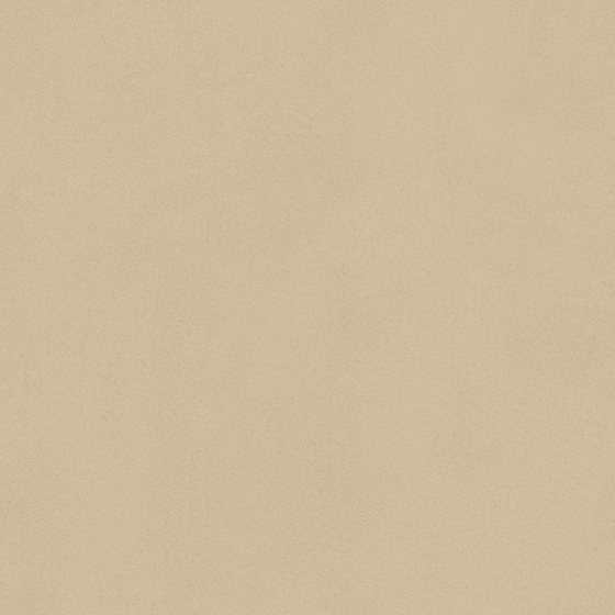 Wood Color Wall Paint 3D Model for Interiors