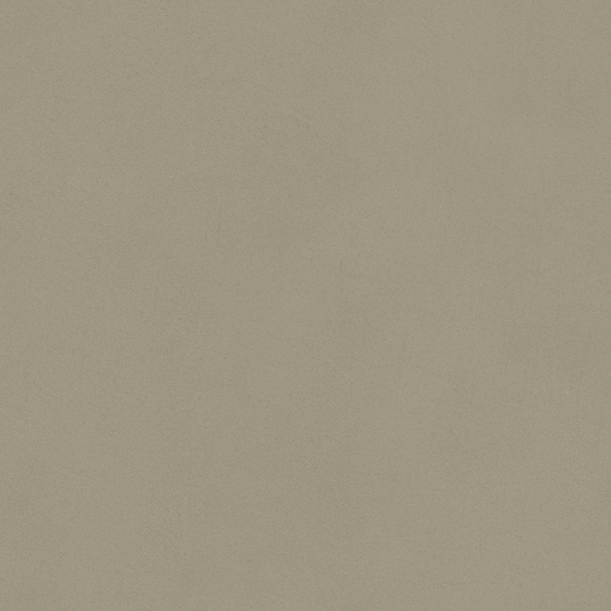 Gray Wall Paint/Paint 3D Model