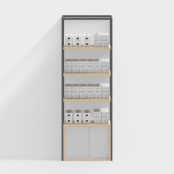 Modern Minimalist 3D Display Shelf Model