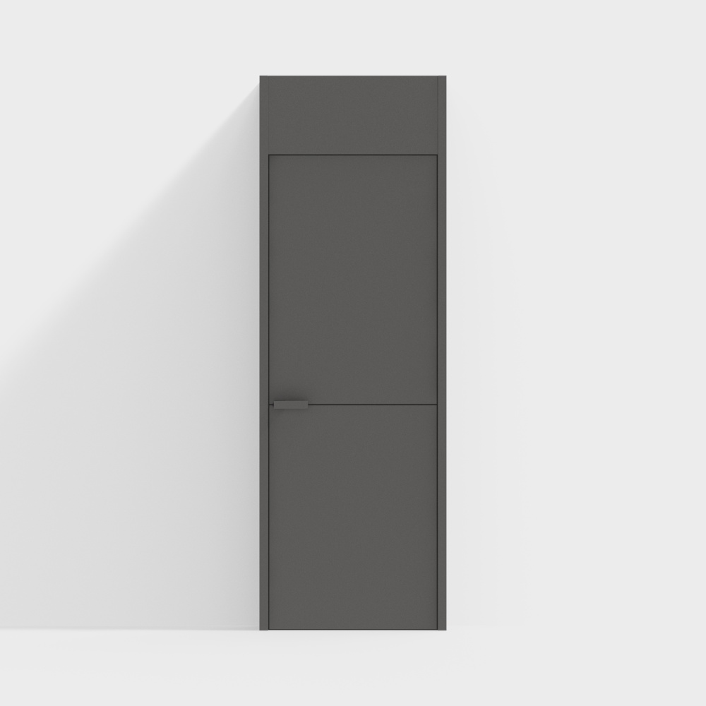 Modern minimalist door