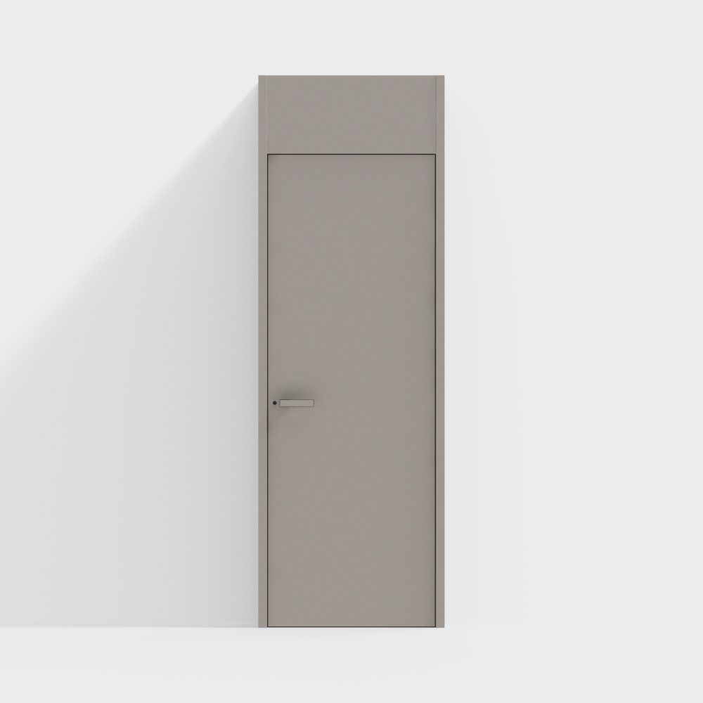 Modern minimalist door